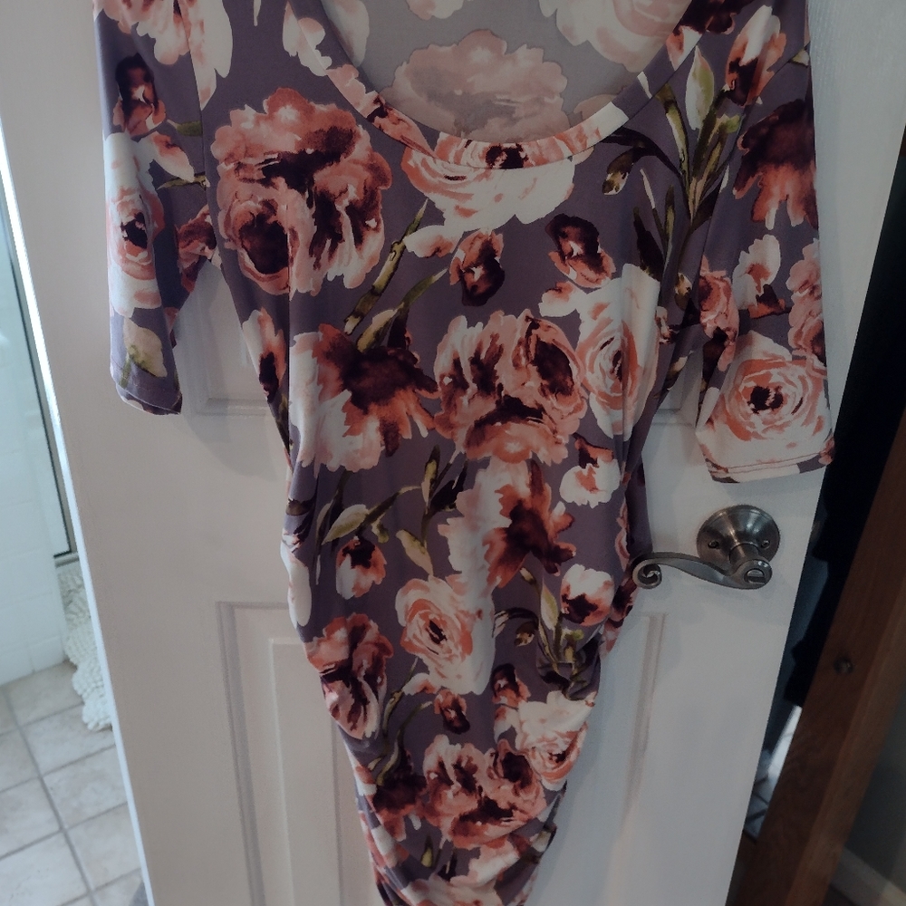 Mother Bee maternity dress